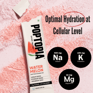 WATERMELON ELECTROLYTE DRINK MIX
